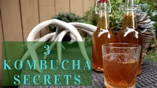 3 THINGS BLOGGERS WILL NEVER TELL YOU ABOUT KOMBUCHA