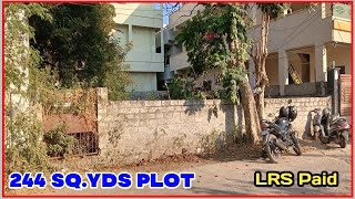 244 Sq.yds Plot For Sale In Hyderabad Open Plot For Sale Hasthinapuram Padmasree Properties