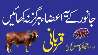 Not to Eat Parts of Qurbani | جانور کے مکروہ اعضاء