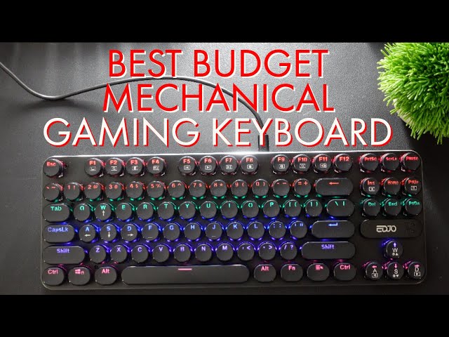 RPM Euro Games Gaming Keyboard Small | 87 Backlit Keys | Suspension Keycaps  | Backlit