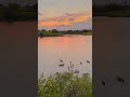 The Fairtree Pond Loop Trail - 2.7 km Evening Escape | Markham’s Hidden Gem #travel #canada #sunset