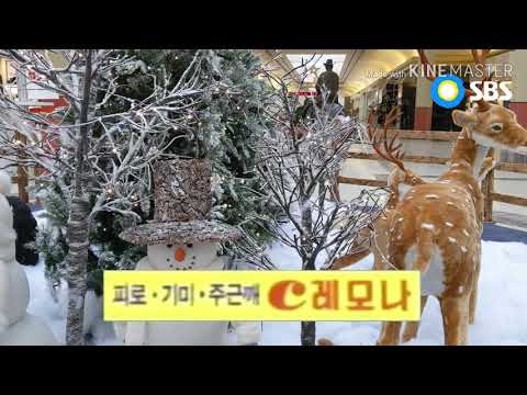 SBS ID 2009