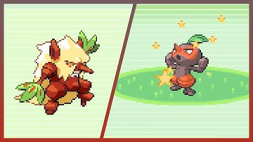 LIVE! Shiny Nuzleaf after 7,520 REs in Ruby (+ Evolution & Colo Showcase)