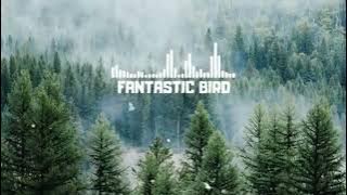 Masteran Kunti jeda 5 menit