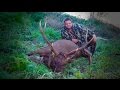 Hunting Sambar deer part 3
