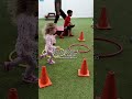 they think theyre just playing