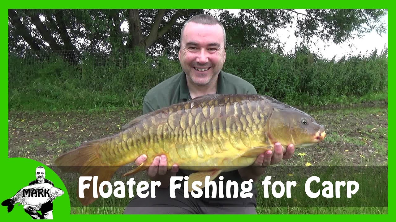 Floater Fishing for Carp Free Lining YouTube
