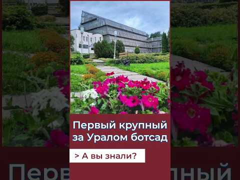 Video: Sejarah Tomsk