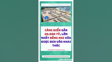 CẢNG BIỂN gần 20.000 tỷ, LỚN NHẤT ĐỒNG NAI vừa được đưa vào khai thác / Trà My Stock