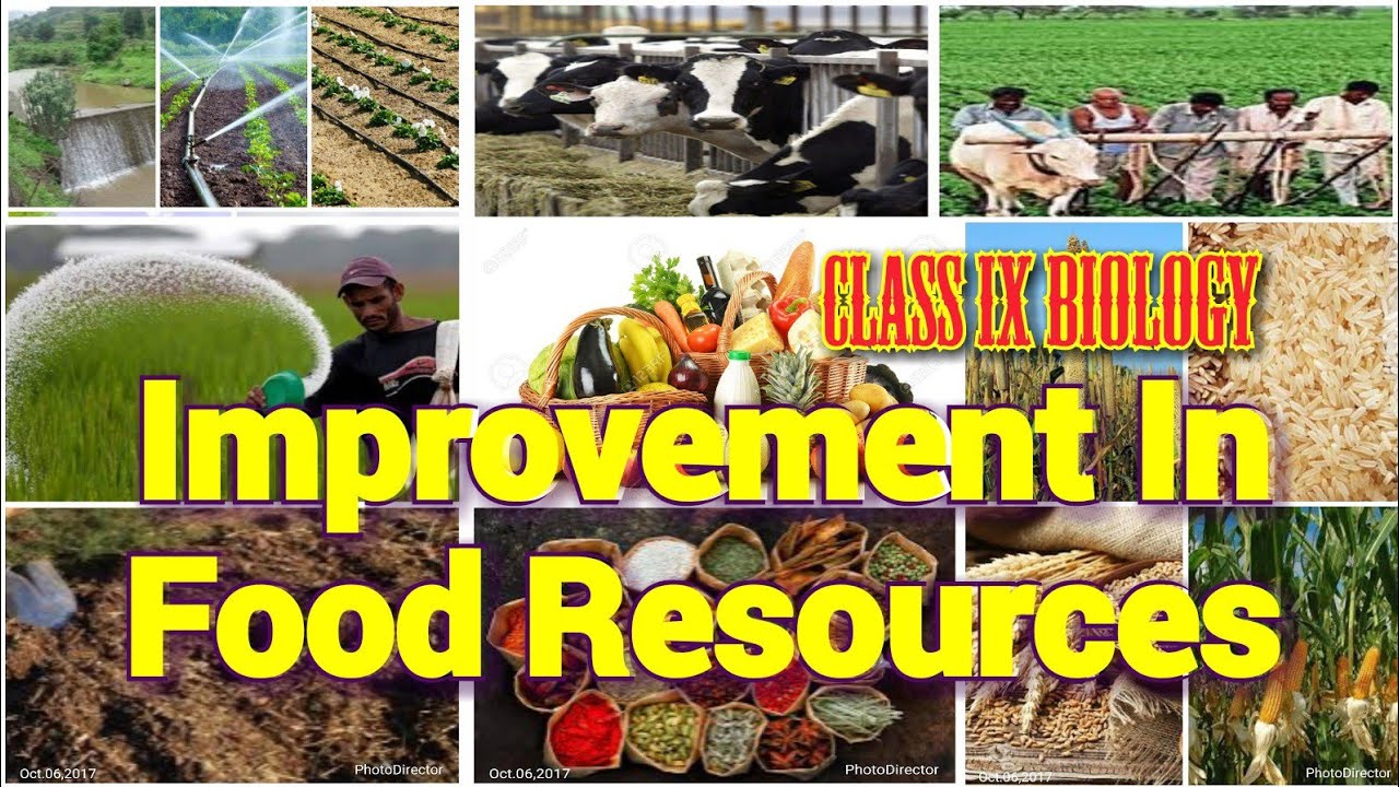 case study on improvement in food resources class 9