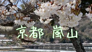 掛け軸 嵐山春三景 岩佐古香 春乃嵐山図 | 掛軸(掛け軸)販売／表装ご依頼は掛軸いっぷく