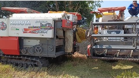 hai máy cắt 105 binh tóc độ bánh 9 cắt lúa quá nhanh tập #maibangtv