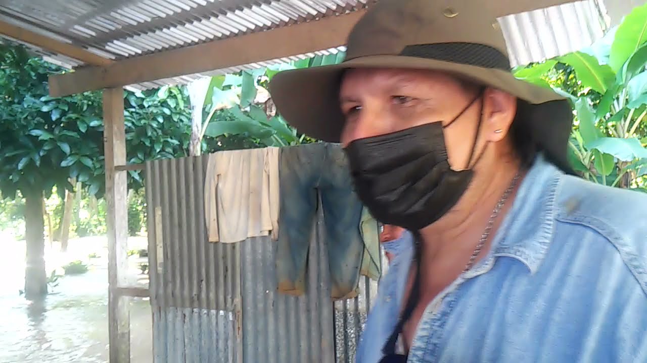 Caminando en la isla alagada 2021 .