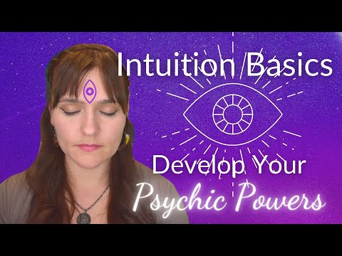 🌞Intuition Basics🌞