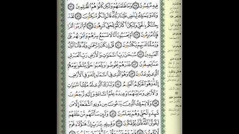حمد الدغريري سورة الزخرف|Hamad Al.dgrira Al.Zukhro