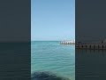 #fishing #fish #fishingvideos #fishinginthesea
