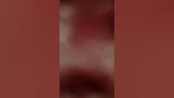 قراءة من صلاة التراويح من سورة الرحمن يوم الثلاثاء (٢٥) رمضان (١٤٤٤٦) هجري، القارئ همام عادل شاهين