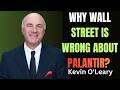 Why Wall Street Is Wrong About Palantir?