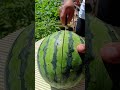 Fresh Watermelon Cutting Skills 🍉 | Beautiful Fruit Decoration Art