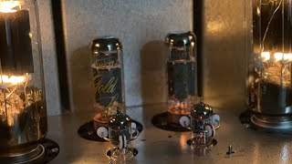 Philips Miniwatt 12AX7 tubes sweet 👍🏼😄👽✌🏼