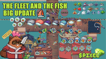 The Fleet And The Fish -  BIG Update ⛵