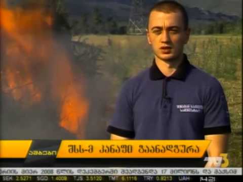 შსს-მ კანაფი გაანადგურა