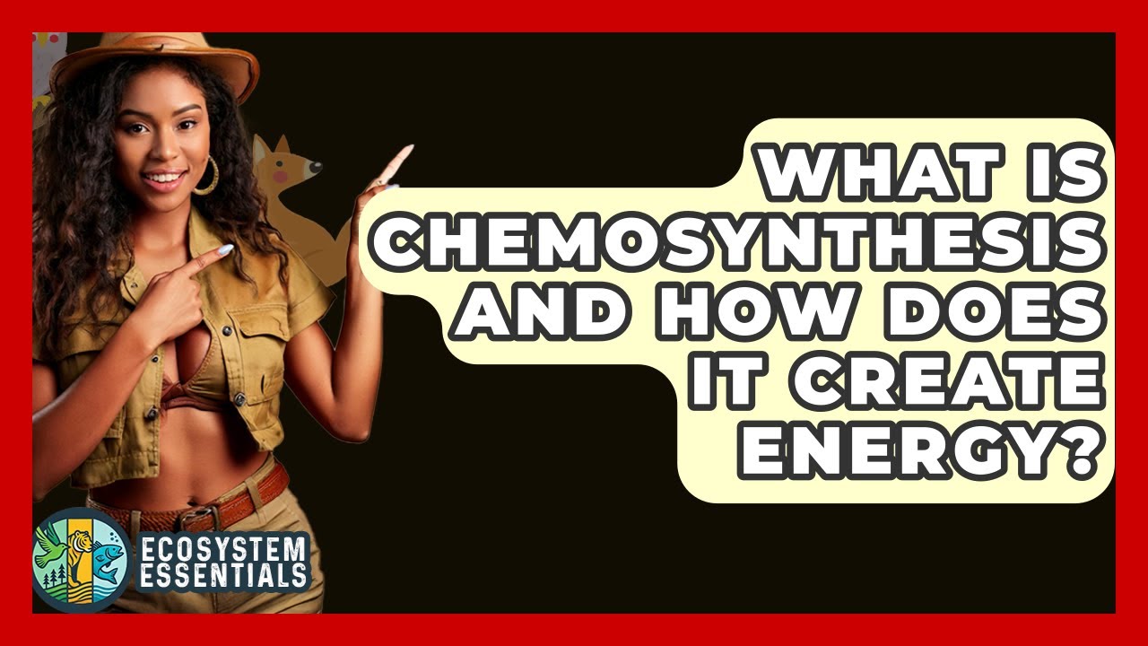 What Is Chemosynthesis And How Does It Create Energy? - Ecosystem Essentials