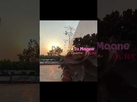 Https Www Instagram Com Reel DP JEI0D1Yh Igsh MTUxcjRqdThrY3N5Mg Bollywood Hindisong