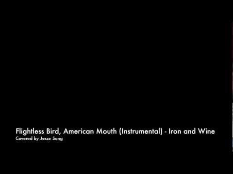 Flightless Bird, American Mouth by Iron & Wine (Instrumental cover) - Jesse Song