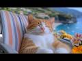 12 Hours Of Cat Music Soft Nature Scenes For Cats Quiet Relaxation Deep Rest Mood 