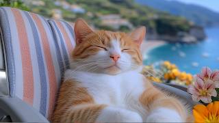 12 Hours Of Cat Music 🐈 Soft Nature Scenes for Cats 🎵 Quiet Relaxation Deep Rest Mood screenshot 5