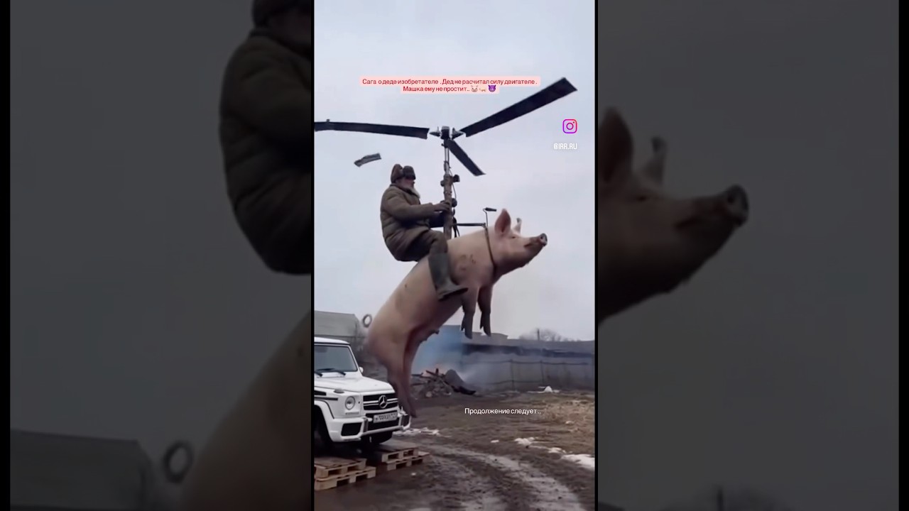 Дед взлетает со свиньей🤣👍 