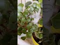 Nature world