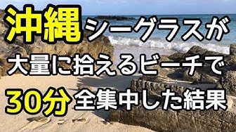 シーグラス Youtube