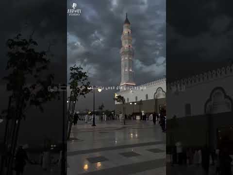 قام رد قال النبي قوم يافاطمه شوفي مين اللي خبط الباب حصري من هاي ميكس وجميع الحقوق محفوظه وليدفرج 