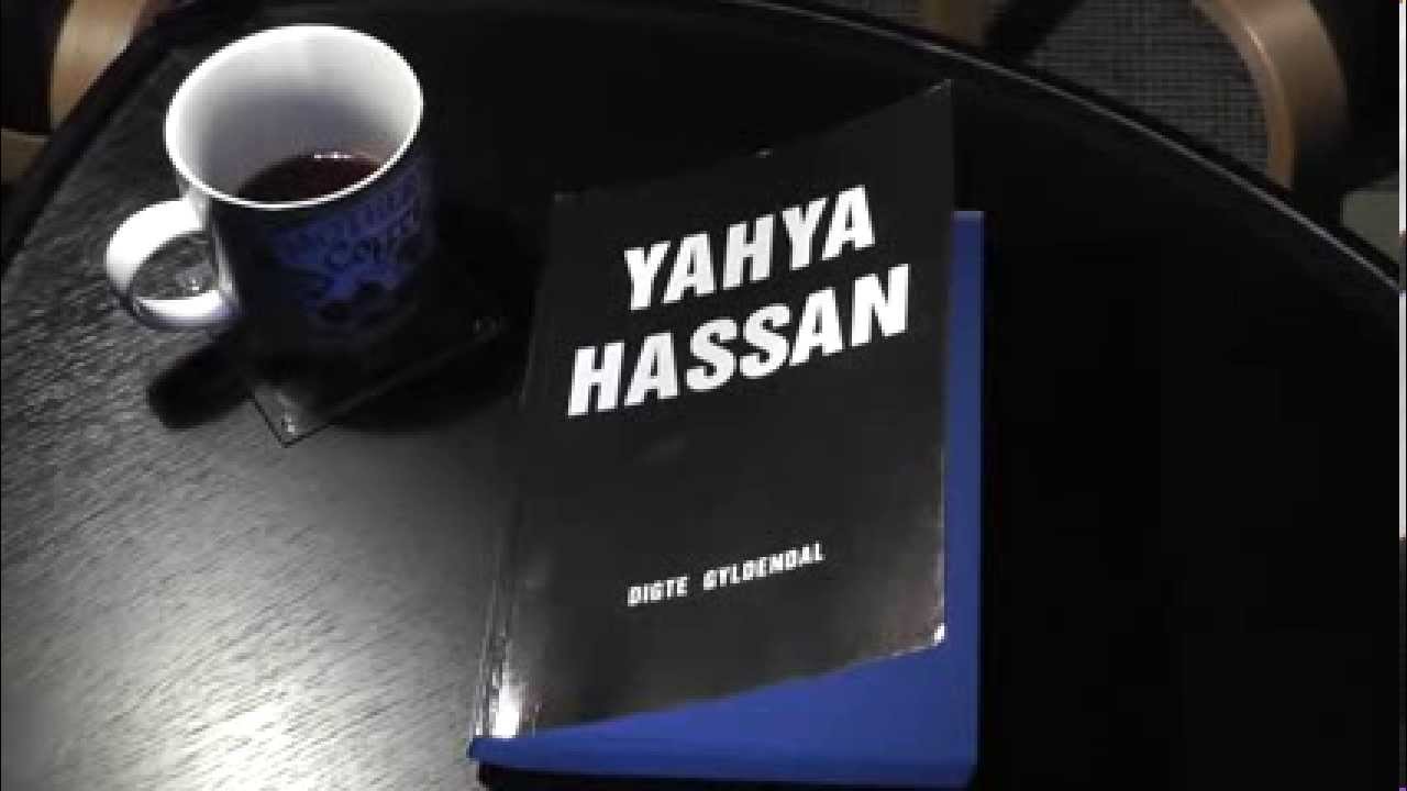 13 skitser til Yahya Hassans digtsamling