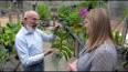 The Intriguing World of Orchids: A Floral Masterpiece ile ilgili video