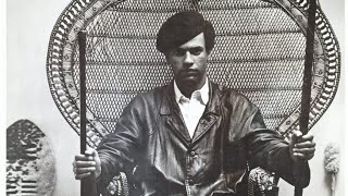 A Short Homage to Huey P Newton and the BPP