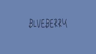 Blueberry Studio Productions