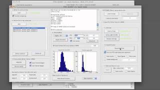 Famous FISH-QUANT: nascent mRNA counting in batch mode Profile