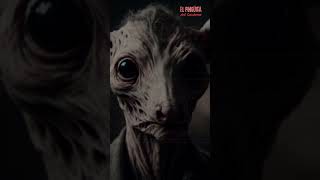 El Not Deer: El Animal que no Debería Existir Pt 3 #criptidos #criptozoología #monstruos #mitos