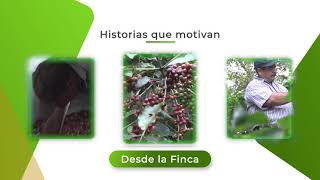 Programa Pulso Cafetalero