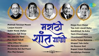 मराठी शांत गाणी | Dis Jatil Dis Yetil | Mee Raat Takali | Marathi Shant Gani | जुनी मराठी गाणी