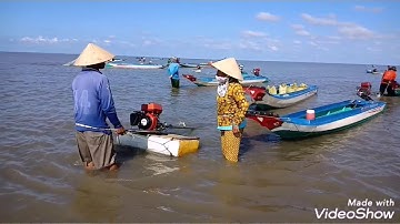 KIẾM 4_5 TRỊÊU CHỈ VÀI GIỜ LÀM VIỆC ( nghề khai thác nghêu giống)