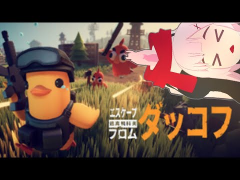 【バ美肉】最高難易度グワーッ【Escape from Duckov #2】