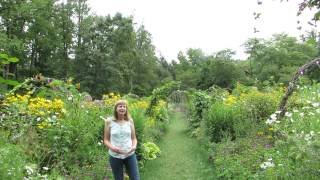 Chanticleer Garden