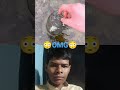 😳aise Ande hote hain mujhe to pata hi nahin tha#sort #trending #amazing #respect #video #animals 😳