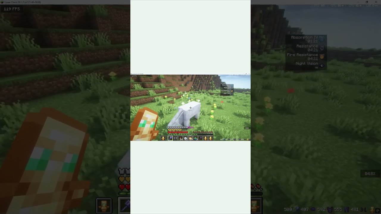 Mace vs Animals