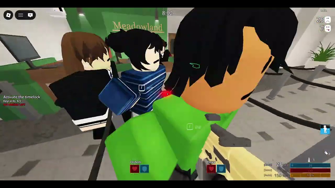 Meadowland Bank (Stealth, All Loots, Solo) Notoriety