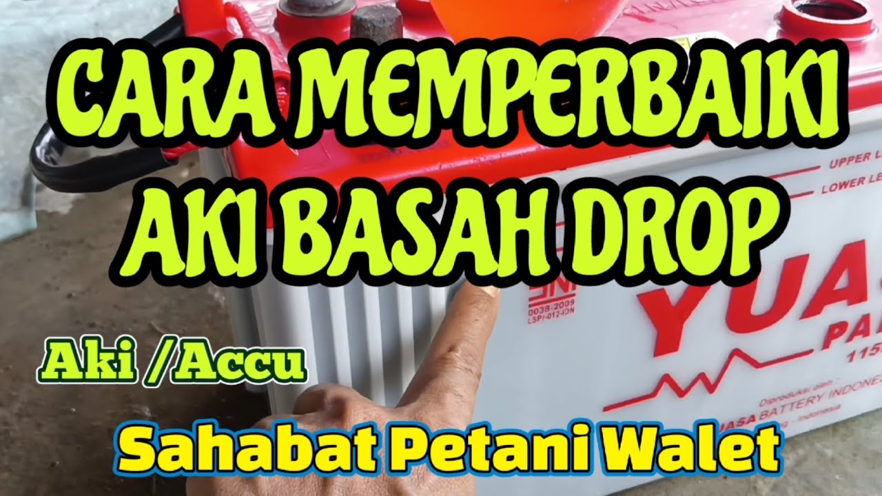 Cara Memperbaiki Aki Basah Drop || Aki Sahabat Petani Walet